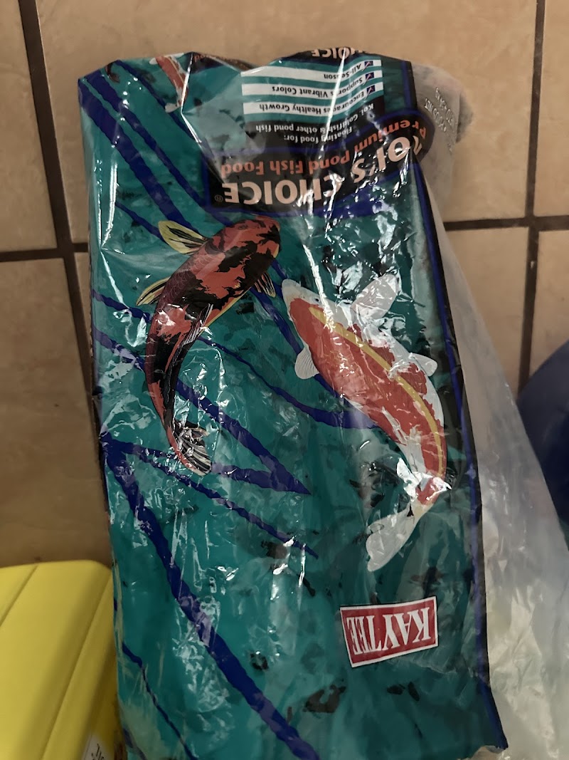 Aquatic Betta Shop - Photo 5