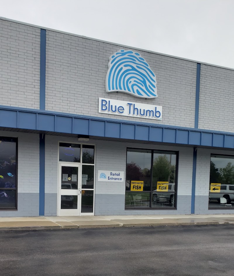 Blue Thumb - Photo 4