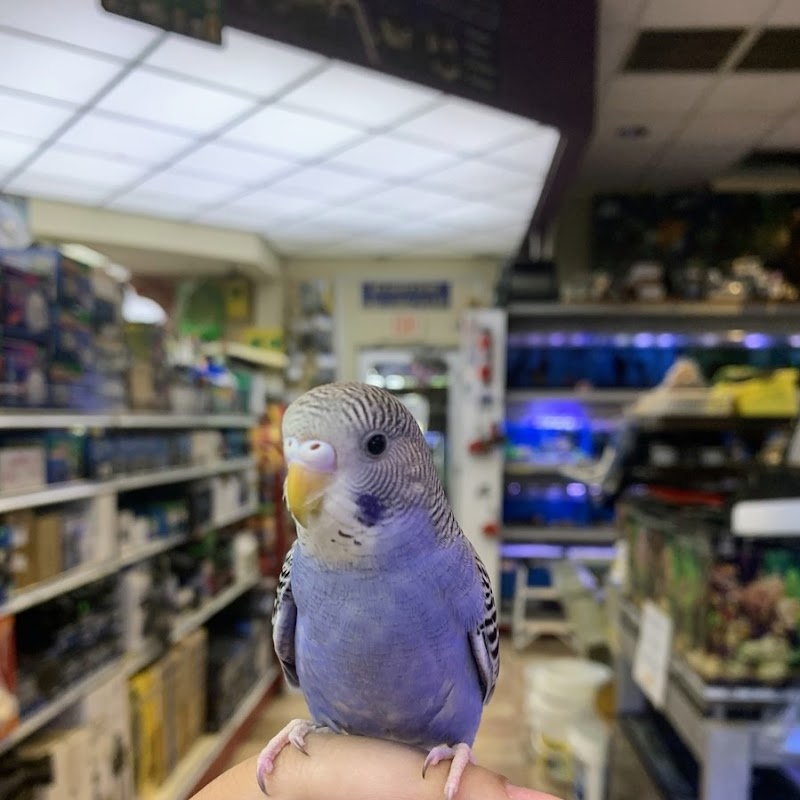 Fish-N-Pets Unlimited - Photo 2