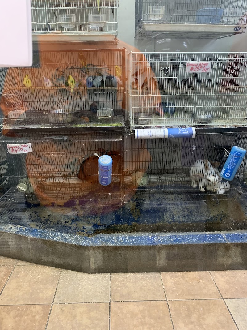 Fish-N-Pets Unlimited - Photo 3