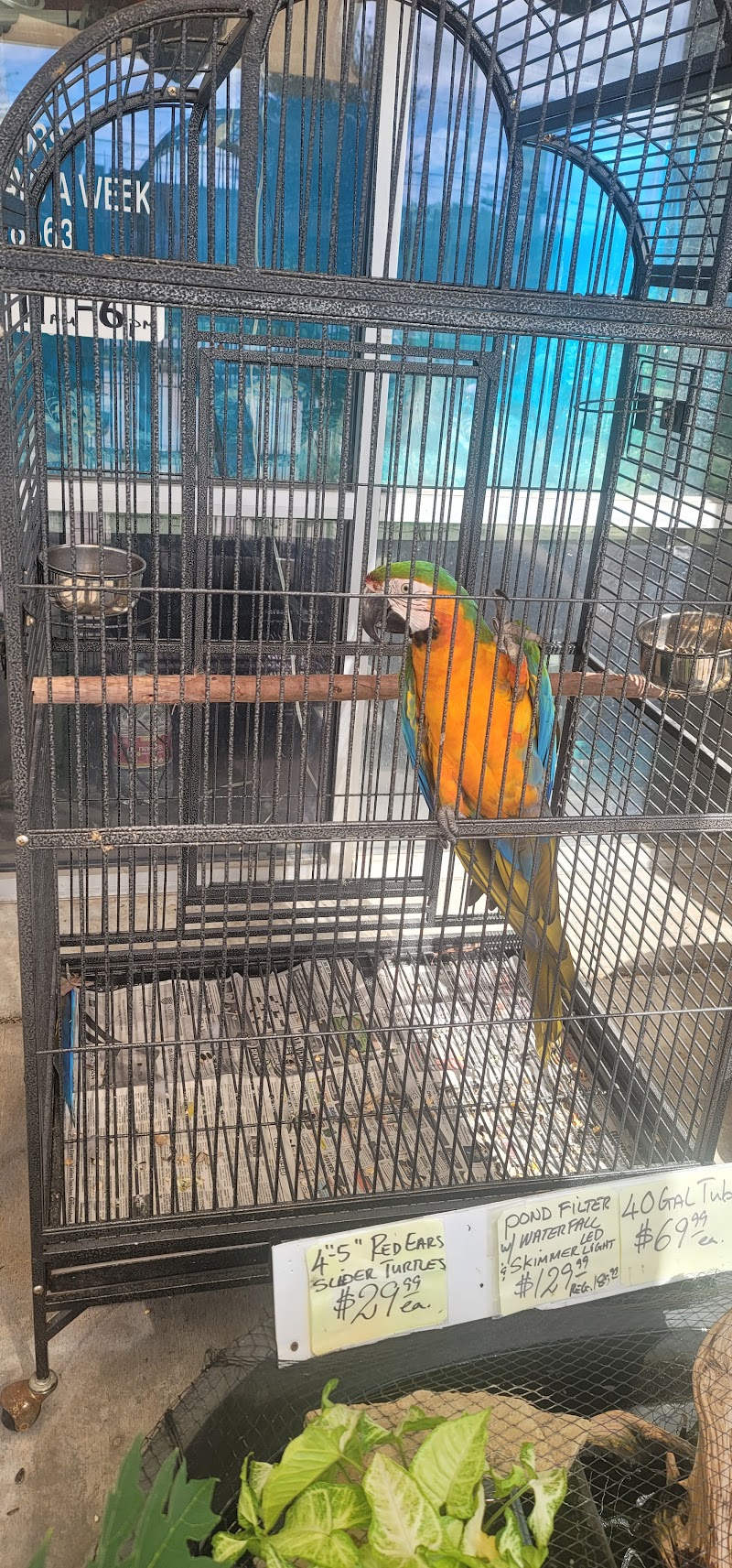 Fish-N-Pets Unlimited - Photo 5