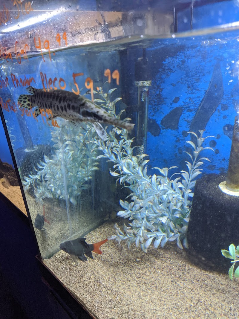Tropi-Quatics Pet Center - Photo 3