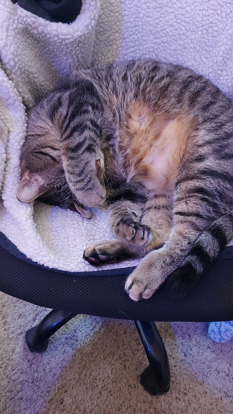 Tropi-Quatics Pet Center - Photo 4