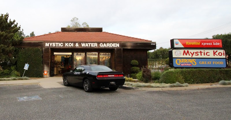 Mystic Koi & Water Gardens - Photo 1