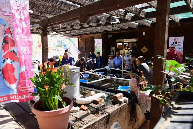 Mystic Koi & Water Gardens - Photo 4