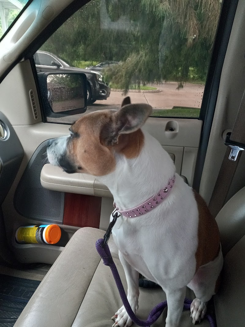 St Tammany Pet Center - Photo 4