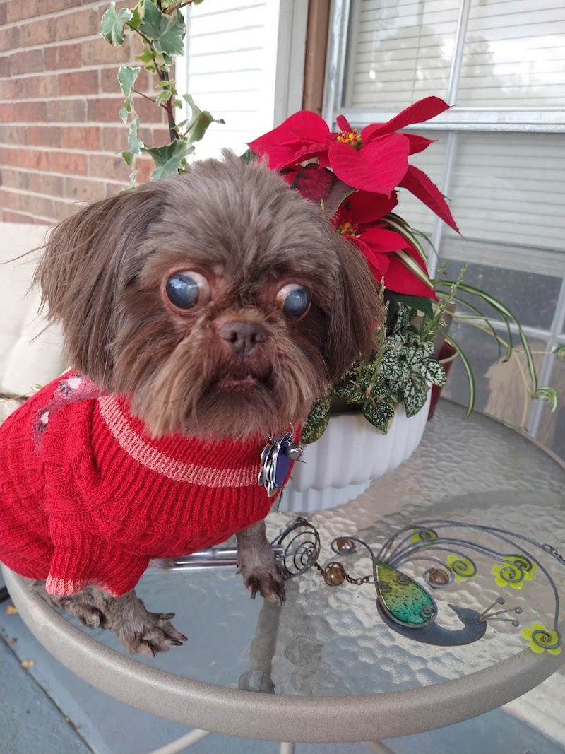 St Tammany Pet Center - Photo 5