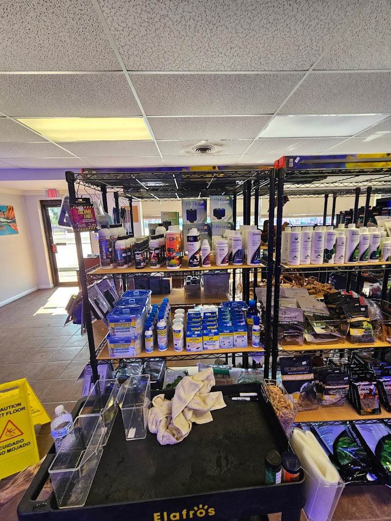 Starjumpers Tank LLC - Photo 1