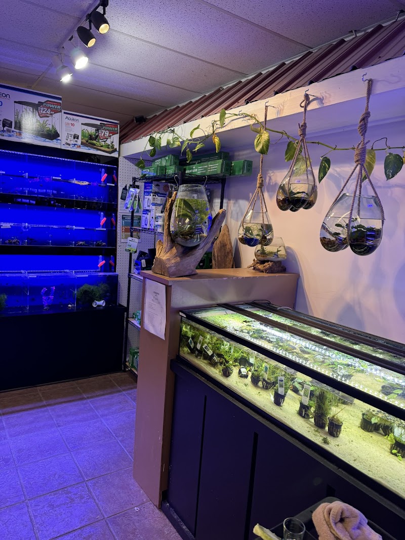 Starjumpers Tank LLC - Photo 2