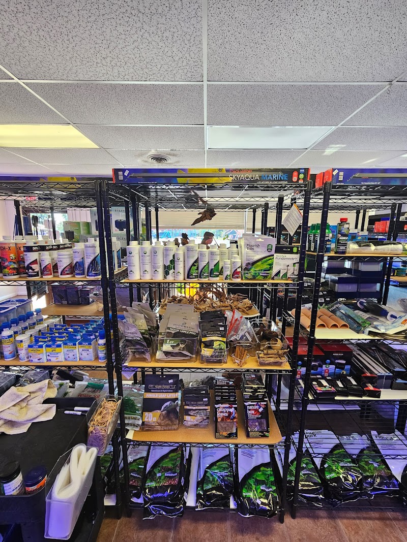 Starjumpers Tank LLC - Photo 4