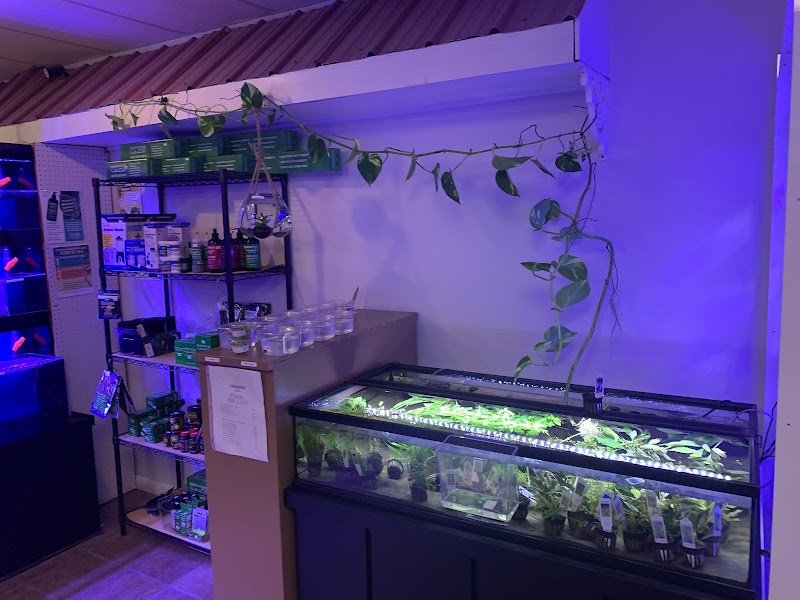 Starjumpers Tank LLC - Photo 5