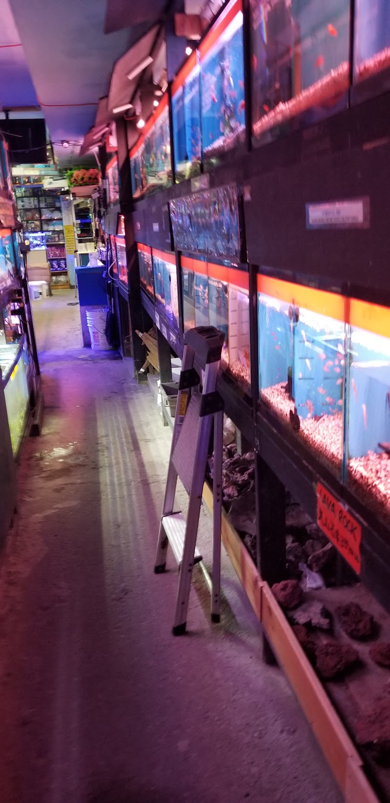 Kissena Aquarium Inc - Photo 2