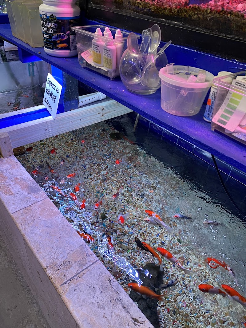 Kissena Aquarium Inc - Photo 5