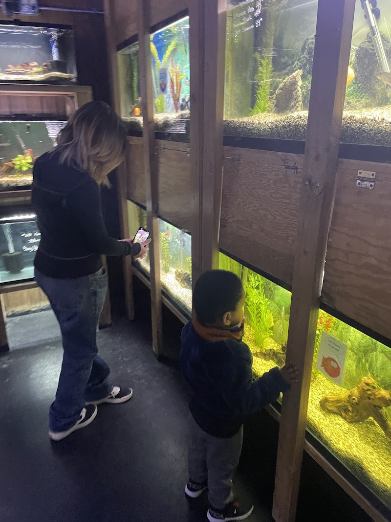 Caesar's Tropical Fish Factory - Photo 2