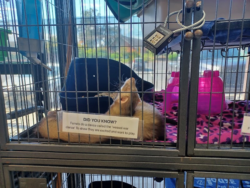 Animal House Pet Shop - Photo 4