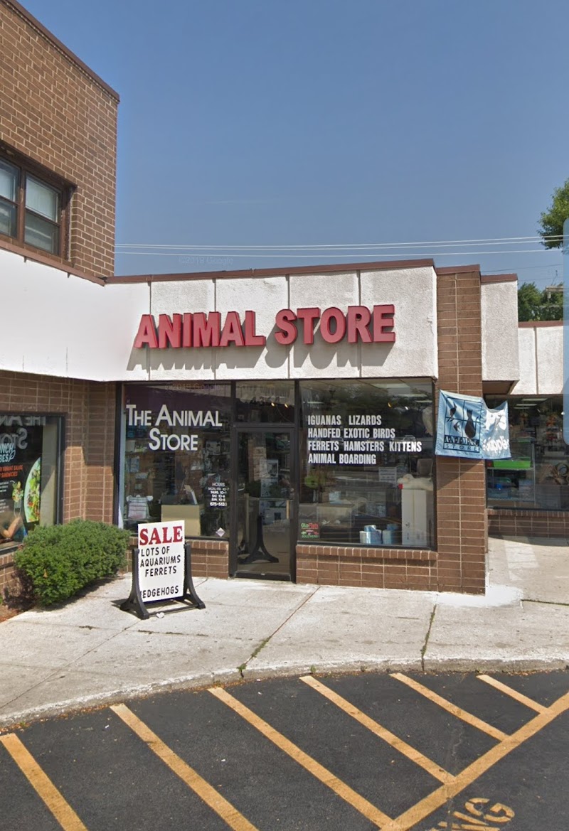 The Animal Store - Photo 1