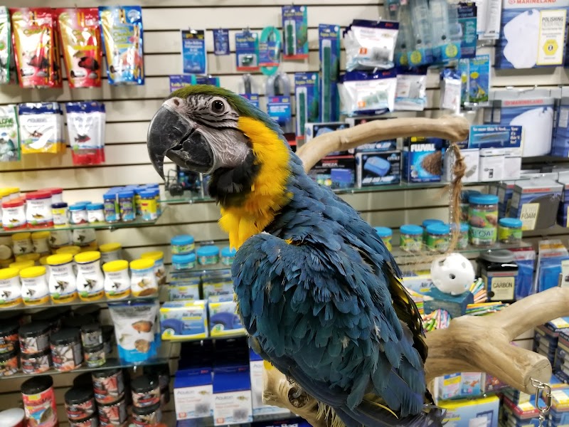 The Animal Store - Photo 3