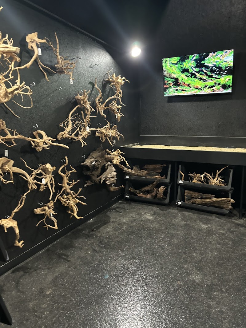 Aquatic Pets - Wichita Aquarium - Photo 5