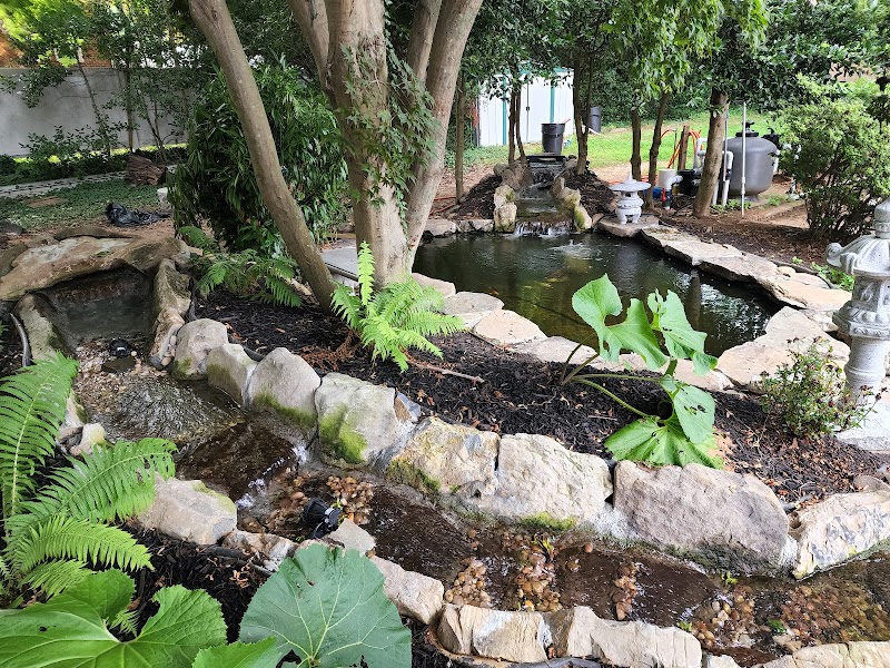 Torii Koi and Pond - Photo 3