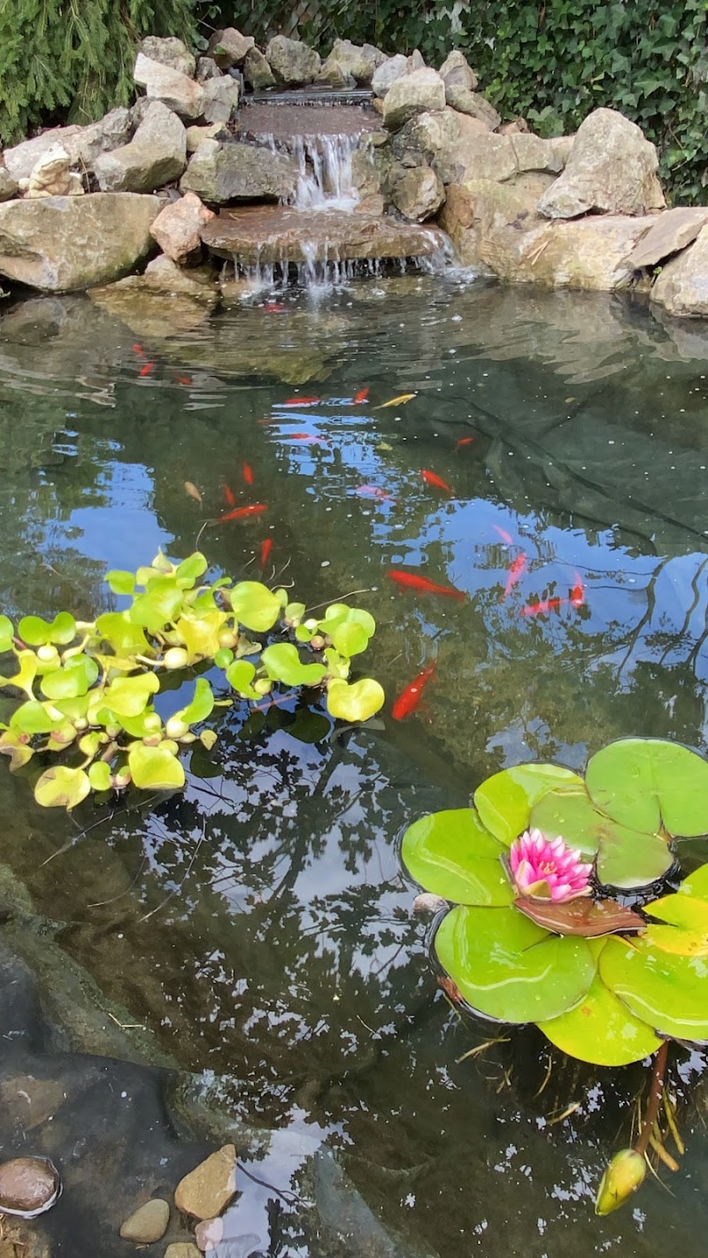 Torii Koi and Pond - Photo 5