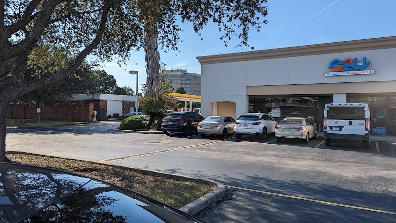 Ocean To You Aquariums - Photo 1