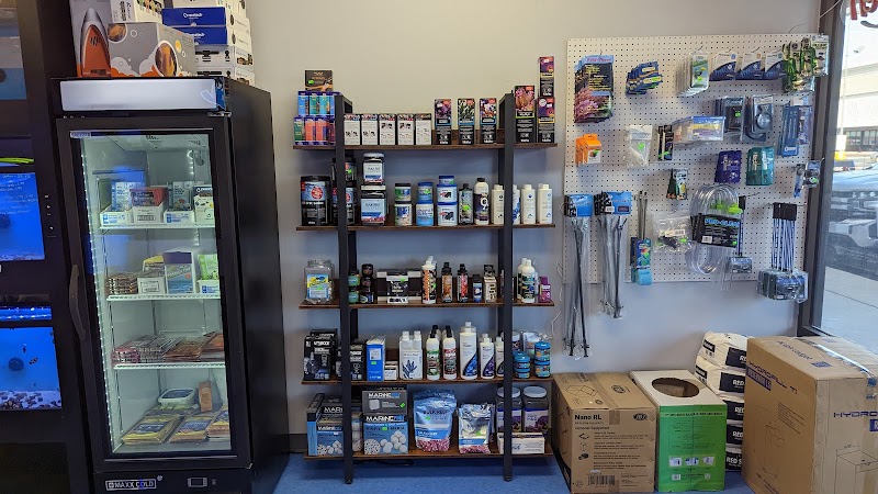 Ocean To You Aquariums - Photo 2