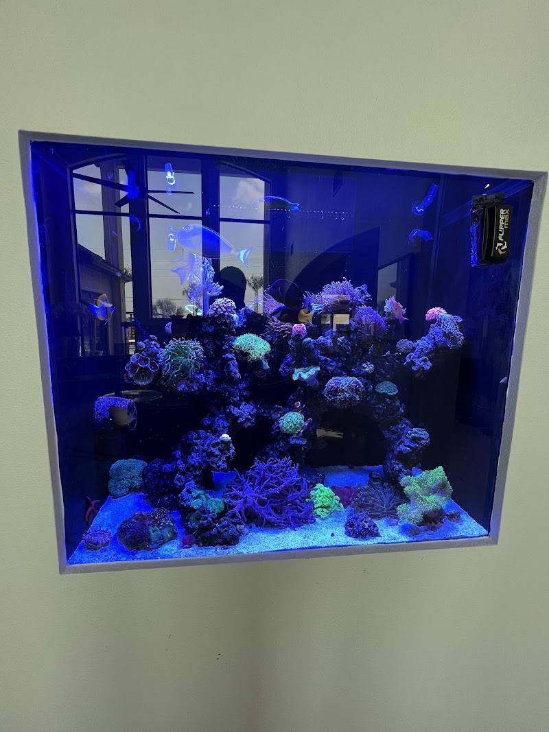 Ocean To You Aquariums - Photo 4