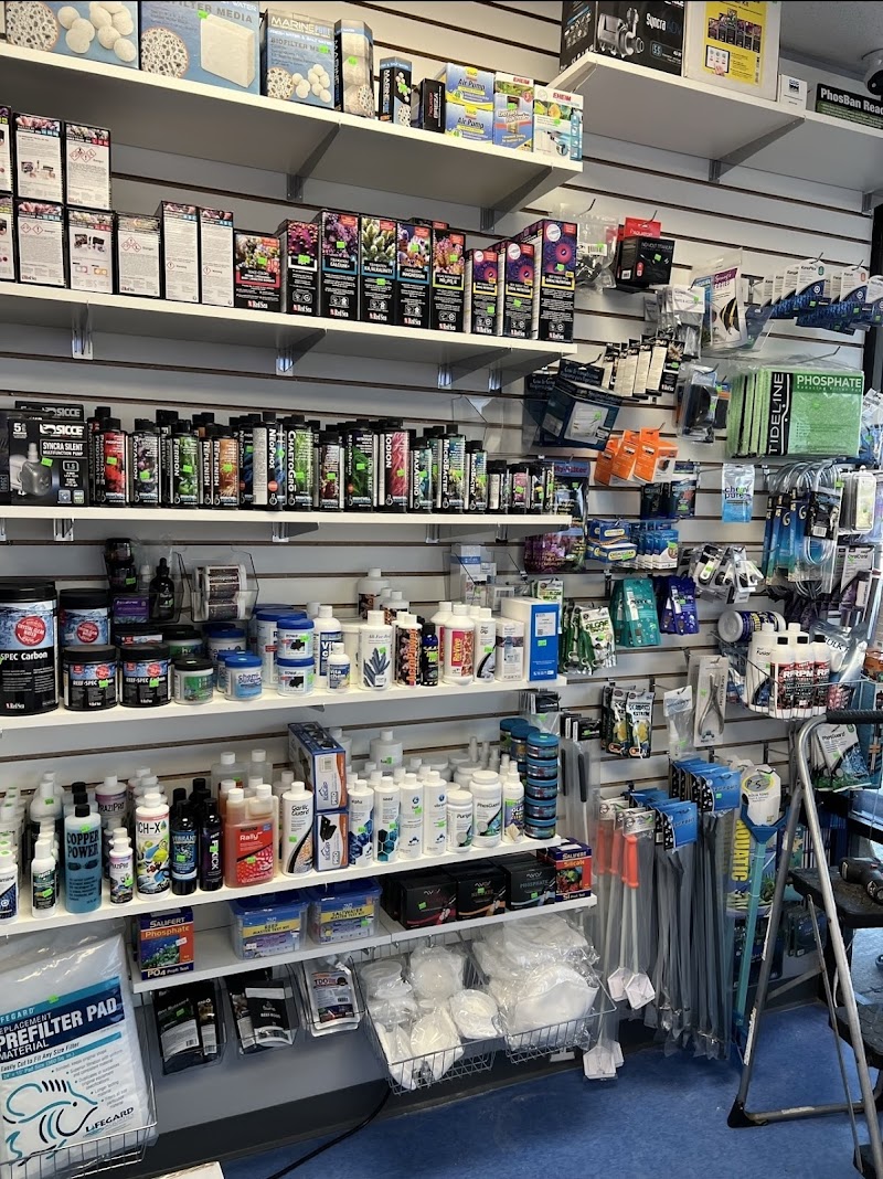 Ocean To You Aquariums - Photo 5