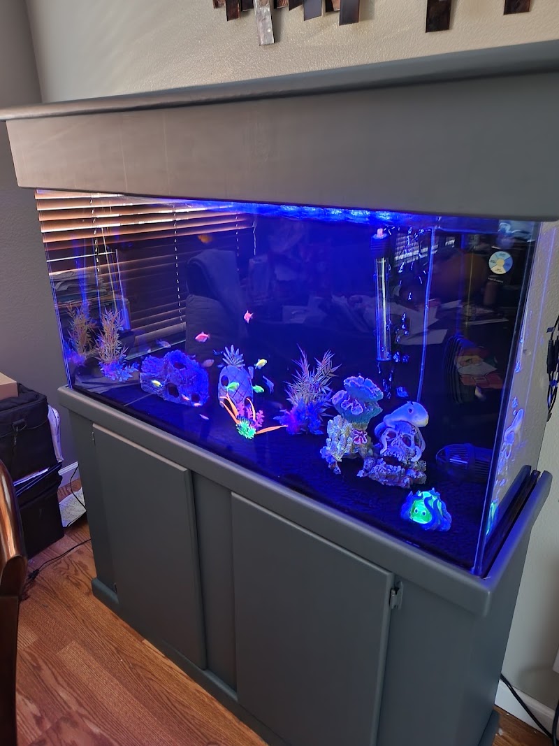 Tiki's Tropical Fish - Photo 4