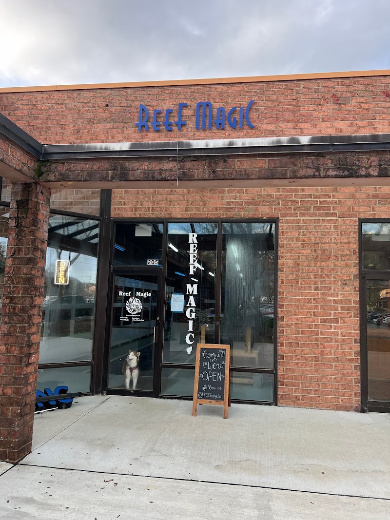 Reef Magic - Photo 1