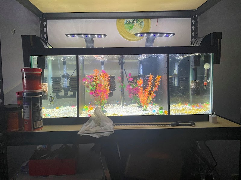 Reef Magic - Photo 3