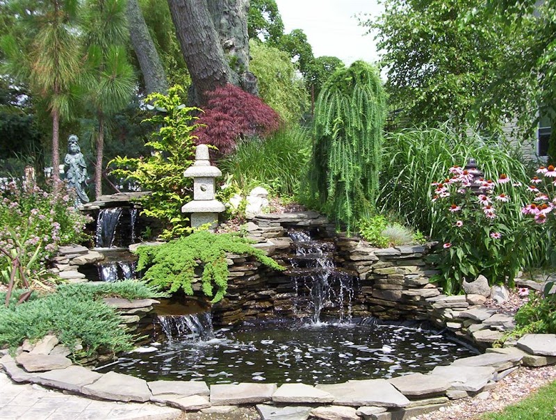 Water Garden & Koi Co - Photo 1