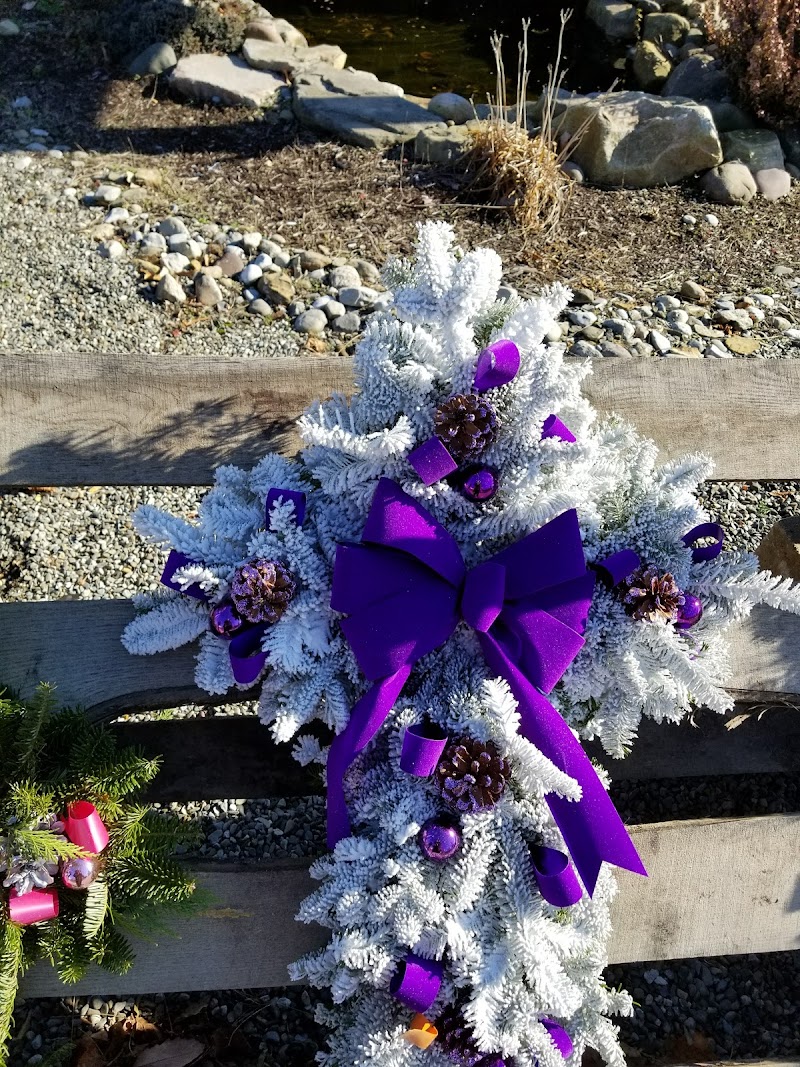 Water Garden & Koi Co - Photo 3