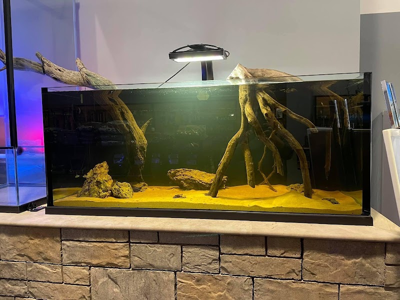 Nebraska Aquatic Supply - Photo 4