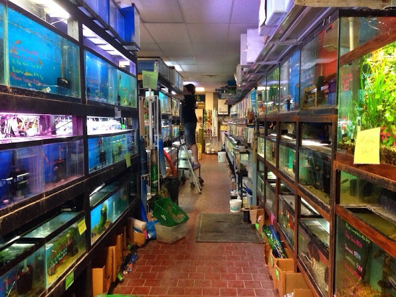 Adam's Pet Safari - Photo 2