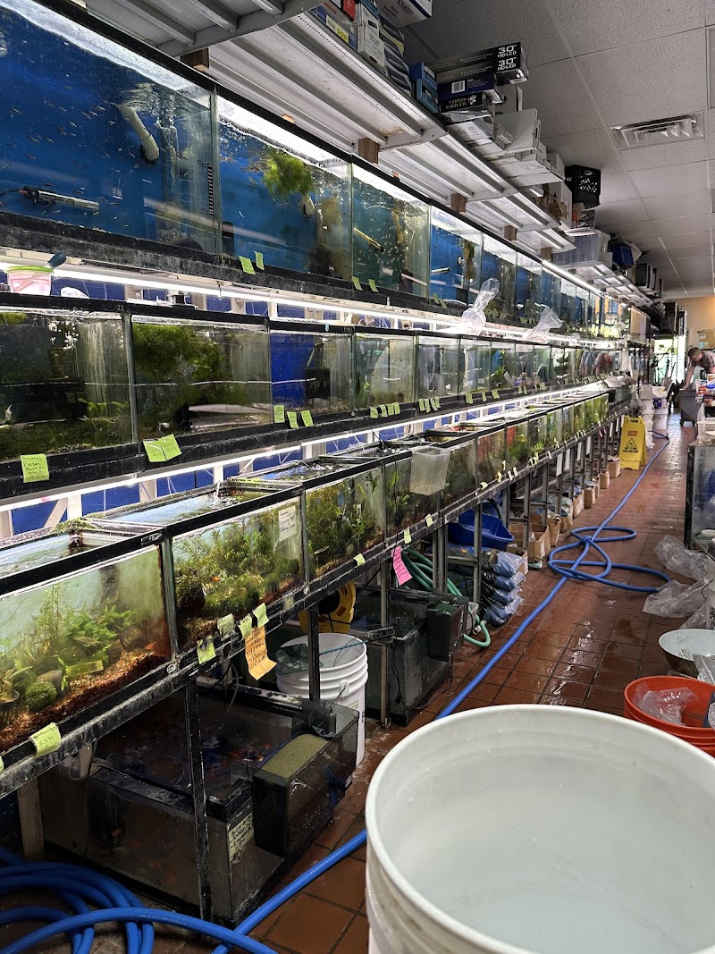 Adam's Pet Safari - Photo 3