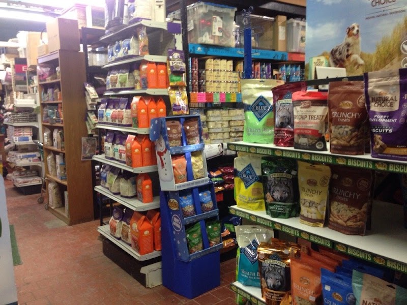 Adam's Pet Safari - Photo 4