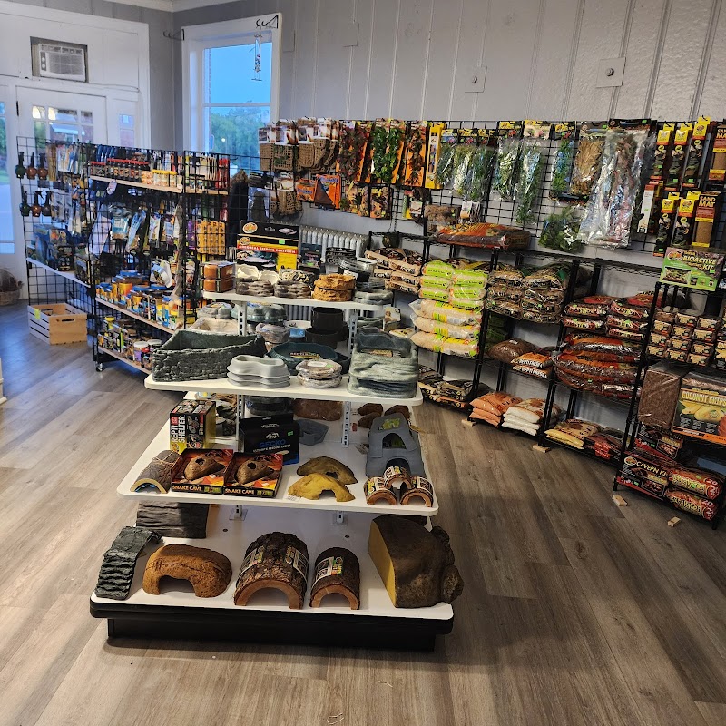 Wonderland Reptiles - Photo 3