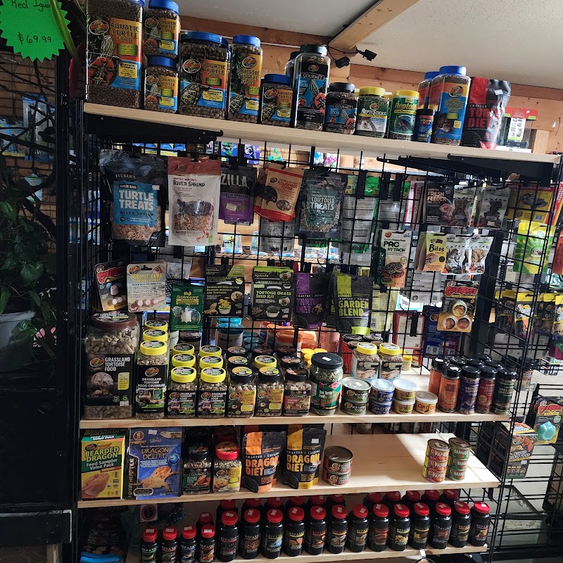 Wonderland Reptiles - Photo 4