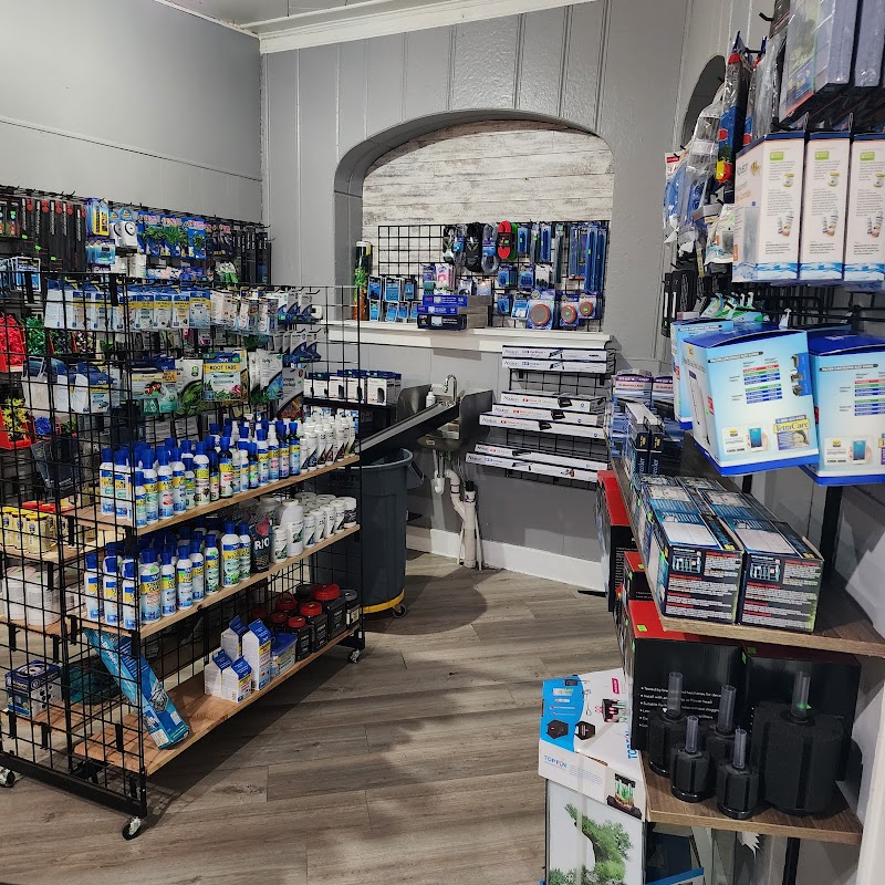 Wonderland Reptiles - Photo 5