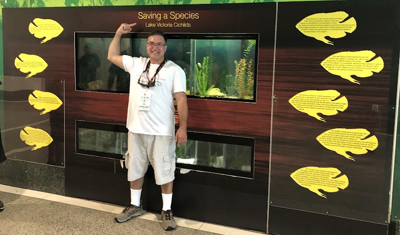 California Cichlids - Photo 3