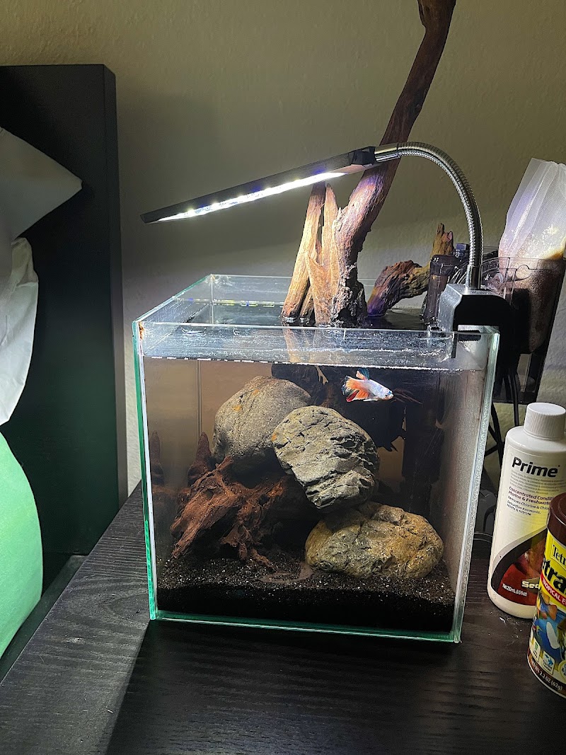 Betta Squad USA - Photo 1