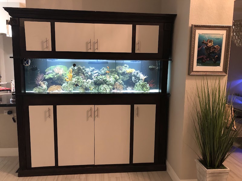 Exotic Sealife International Inc - Photo 4