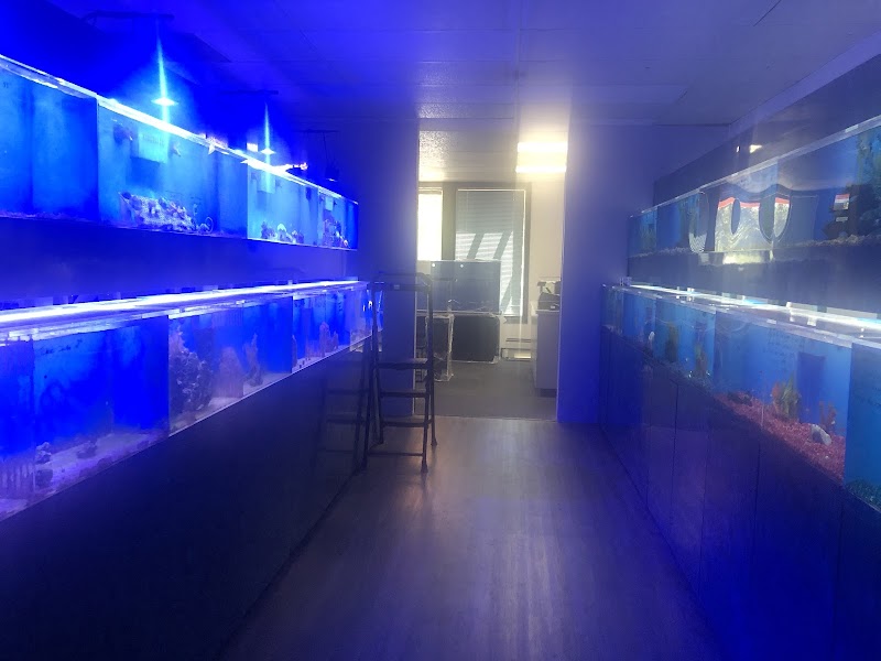 Ultimate Aquarium - Photo 1