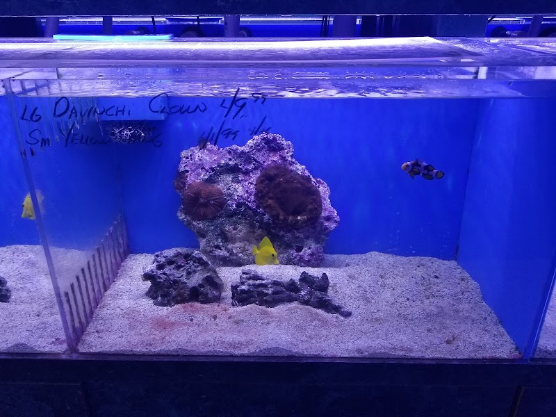 Ultimate Aquarium - Photo 3