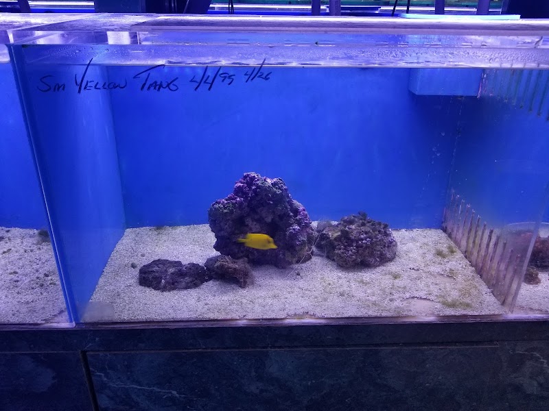 Ultimate Aquarium - Photo 5