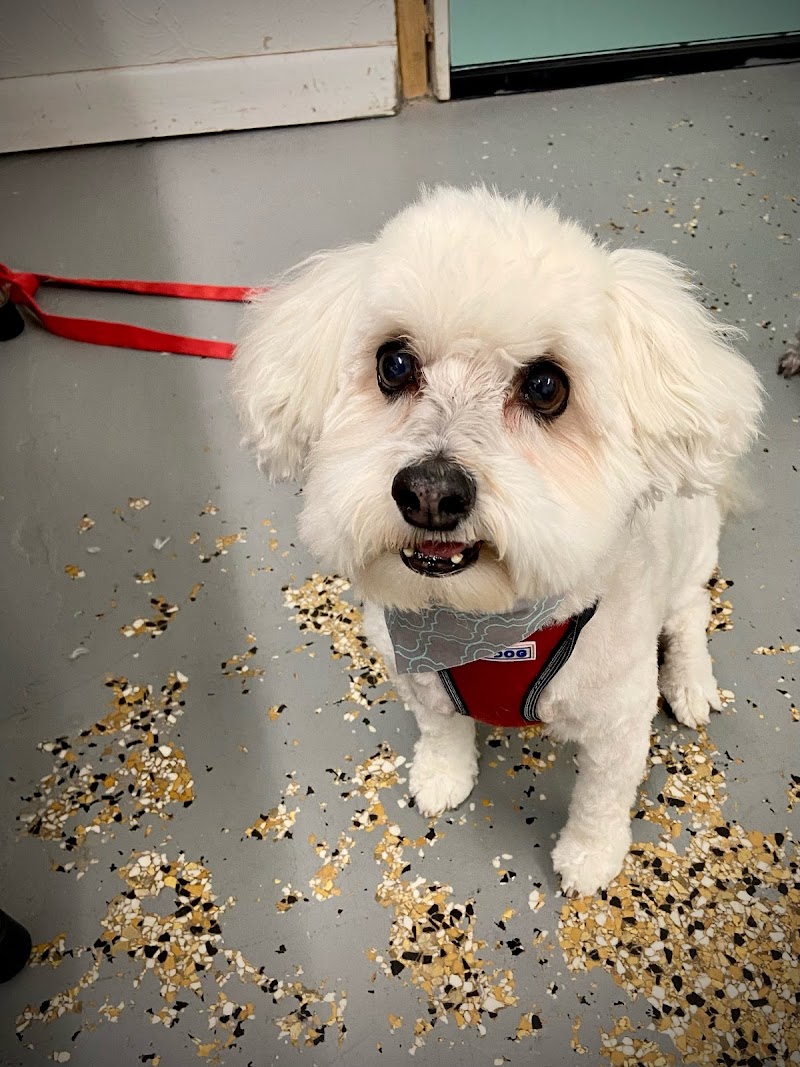 Critter's Corner - Photo 1