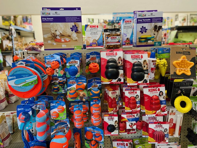 Critter's Corner - Photo 2