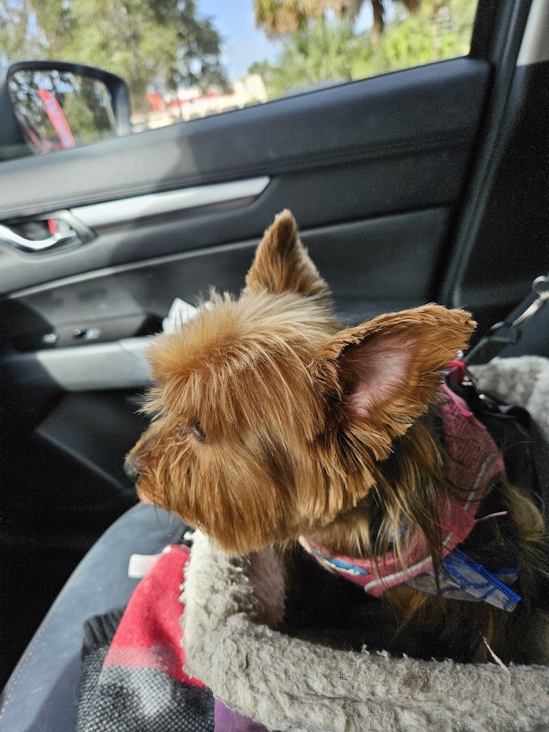 Critter's Corner - Photo 3