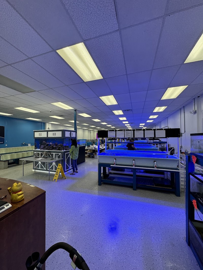 TSM Aquatics, Inc - Photo 2